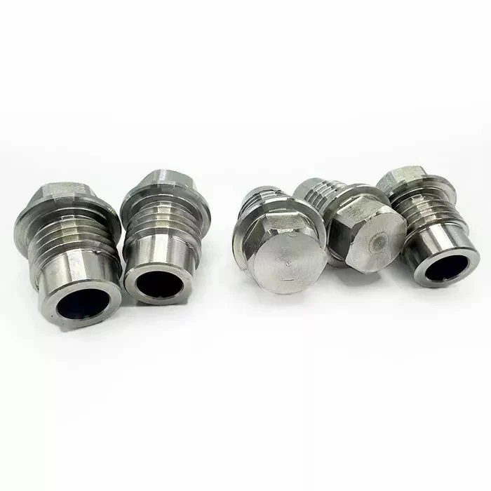 Check valve sealing plug